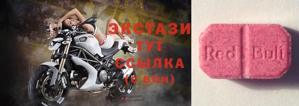 стаф Алзамай