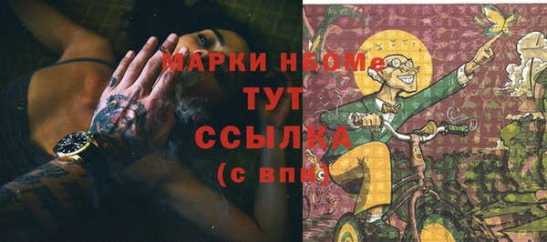 стаф Алзамай