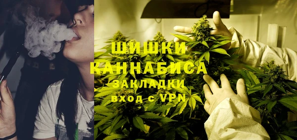 стаф Алзамай