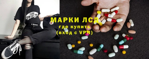 стаф Алзамай