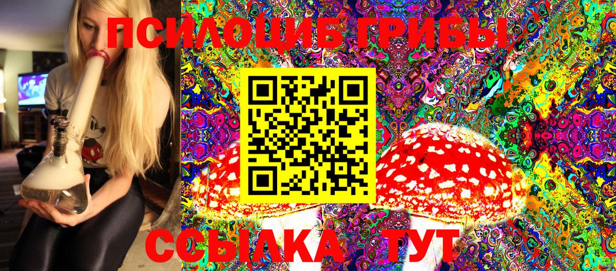 Галлюциногенные грибы GOLDEN TEACHER Апатиты